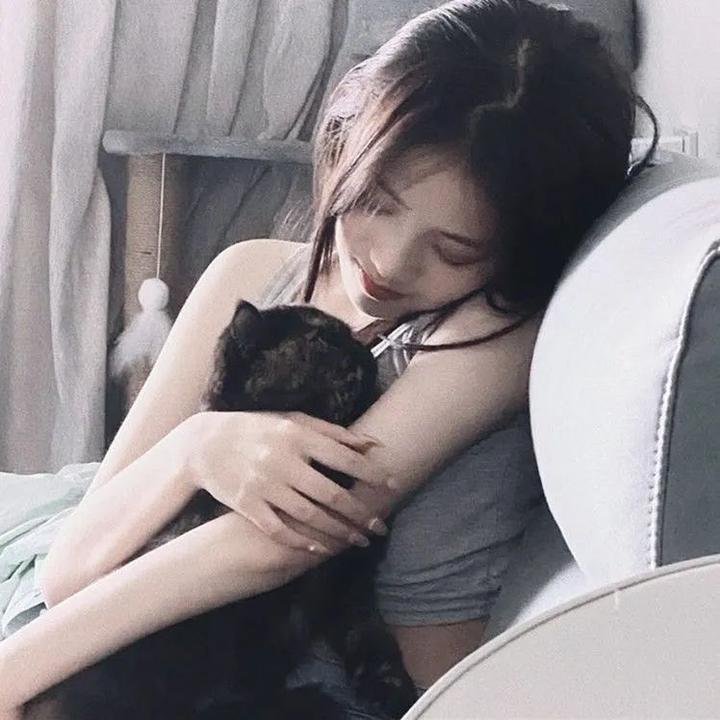 师生拍档追女仔 在线观看