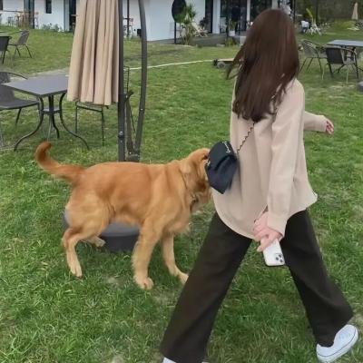 生存的机会 在线观看